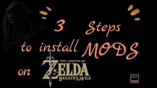 3 steps to install MODs in Breath of the Wild 2022 [upl. by Liliane]