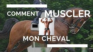 comment MUSCLER mon cheval [upl. by Dallas]