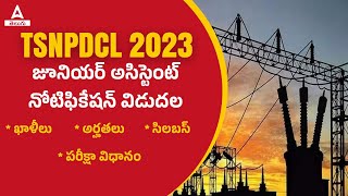 TSNPDCL JUNIOR ASSISTANT NOTIFICATION 2023  ELIGIBILITY VACANCY SYLLABUS EXAM PATTERN DETAILS [upl. by Olaf]