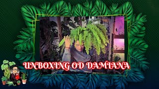 UNBOXING OD DAMIANA Z KANAŁU💚💚💚💚💚 ZIELONE OKNO 💚💚💚💚💚 [upl. by Yborian93]