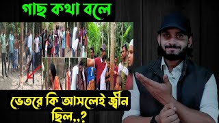 গাছ কথা বলেভেতরে কি আসলেই জ্বীন ছিল  Saif story [upl. by Cappello581]