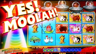 WILD COWS BECAME MOOLAH BONUS Invaders Return From the Planet Moolah MAX BONUSES CASINO SLOTS [upl. by Wenda]