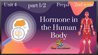 Prep3unit4the lessonpart12 Hormone in the human body [upl. by Eyanaj]