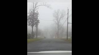 SHill Tagaytay Vibes lolsilenthill2 tagaytay fog [upl. by Velasco478]