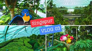 Dieser Flughafen kann nicht echt sein  Singapur Weltreise VLOG 03 [upl. by Aimac]