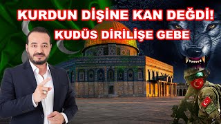 KURDUN DİŞİNE KAN DEĞDİ KUDÜS DİRİLİŞE GEBE [upl. by Ueih]