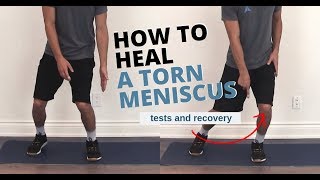 Knee Meniscus Tear Tests and Exercises for Full Recovery [upl. by Ihsoyim]