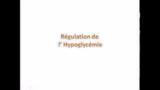 Régulation de lhypoglycémie [upl. by Rengaw950]