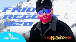 Perro Primo DTBilardo  Frio  Video Oficial Reggae 420 [upl. by Ylrebmik856]