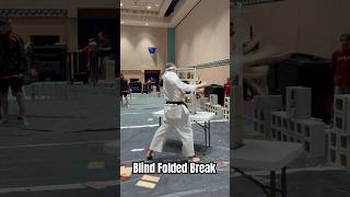 Awesome Blind Folded Board Breaking Between Three Cinder Blocks Creative Martial Arts Demo karate [upl. by Gordan]