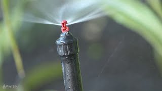 Micro Jet Irrigation [upl. by Introc]