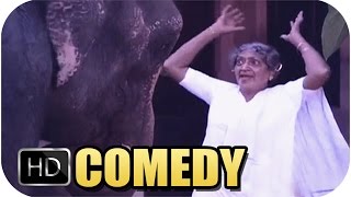 Malayalam Comedy  Philomina and the Elephant [upl. by Stevens]