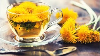 Some health benefits of dandelion tea [upl. by Ivz]