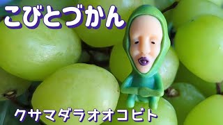 【こびとづかん】シャインマスカット🍇を買ったらクサマダラオオコビト様がいた！こびとクサマダラオオコビト [upl. by Irodim]