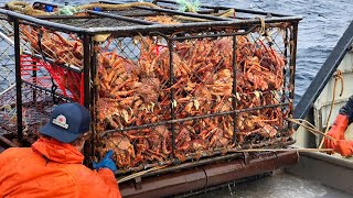 Amazing Catch Hundreds Tons Alaska King Crab With Modern Big Boat  Amazing Crab Fishing on the sea [upl. by Eelytsirk]