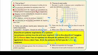 Exercices sur la respiration chez les êtres vivants [upl. by Honniball]