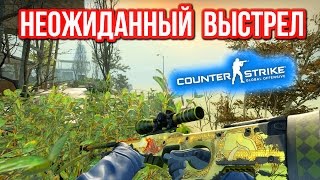 НЕОЖИДАННЫЙ ВЫСТРЕЛ  в CSGO [upl. by Rosemary]