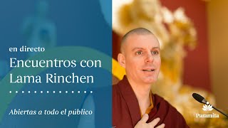 Lama Rinchen Gyaltsen ¿Quién es budista Los 4 sellos del budismo refugio Dharma y autoestima [upl. by Sirkin]