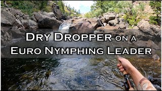 Fishing Dry Dropper on a Euro Nymphing Leader [upl. by Ludwigg553]