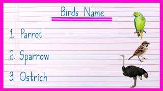 10 Birds Name in English  Birds Name  Birds Name in English  Birds Names  Bird Name [upl. by Odlabu]