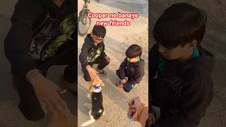 Cooper ke new friends  cute puppy  dog lover  dog training  dog life  beagle shorts ytshorts [upl. by Spiro]