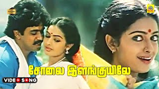 Solai Ilanguyile Azhaga Video Song  Annanukku Jey  Arjun  Seetha  Ilaiyaraaja  Dolby Stereo [upl. by Mazur]