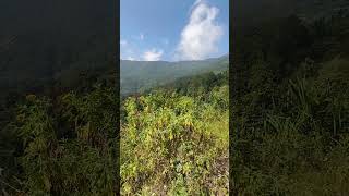 Beautiful scenery  bright Sunny day  bike ride nature hills videography viral morningsun [upl. by Abbot]