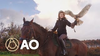 Horseback Falconry in Southern England  Atlas Obscura Tries  Atlas Obscura [upl. by Chapin375]