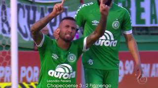 Todos os Golslos Goles  Brasileirão 2018 [upl. by Terina822]