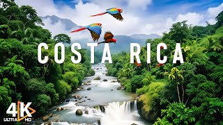 Costa Rica Rainforest 4K  Happiest Country On Earth With Exotic Wildlife  Travel Video [upl. by Abas]