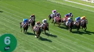 2024 VRC FLEMINGTON Newmarket Handicap [upl. by Intirb]