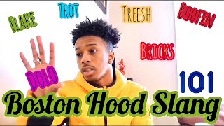 Boston Hood Slang 101 📚 [upl. by Shippee]