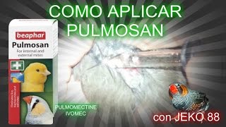 COMO APLICAR PULMOSAN pulmomectine ivomec [upl. by Arbba169]