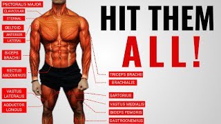 The Best ScienceBased Full Body Workout for Growth WORKOUT “A” [upl. by Cherey767]