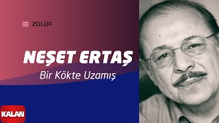 Neşet Ertaş  Bir Kökte Uzamış I Zülüf Dökülmüş Yüze © 1999 Kalan Müzik [upl. by Jahdol]