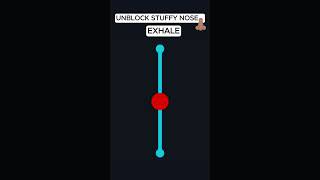 UNCLOG STUFFY NOSE amp DRAIN SINUSES IN 20 SECONDS [upl. by Guinevere]