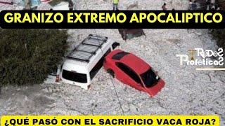 GRANIZO EXTREMO ¿QUÉ PASÓ CON LA VACA ROJA Y EL SACRIFICIO [upl. by Isiahi756]