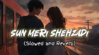 Sun Meri Shehzadi Main Tera Shehzada  Sun Meri Shehzadi Lofi LofiAniket [upl. by Redep]