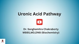 11Uronic acid pathway I Essential Pentosuria medicalbiochemistry uronicacidpathway [upl. by Reinaldos505]