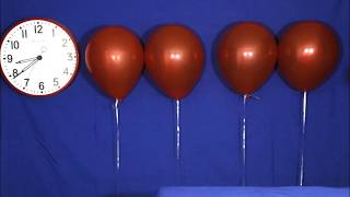 How To Make Helium Balloons Float The Longest [upl. by Samuela952]