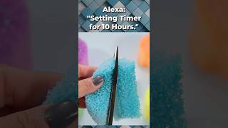 😠 Arguing with Alexa 💥💥 Slime Storytime shorts [upl. by Llenrag]