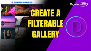 Divi Theme How To Create A FILTERABLE GALLERY [upl. by Locke]