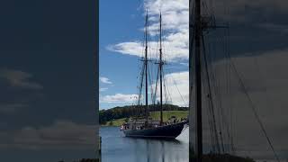 Bluenose 2 sails into port roadtrip Nova Scotia [upl. by Assenahs]