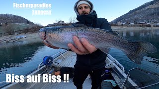 Forellenjagd am Lungernsee 🐟  WildFishTV [upl. by Elah]