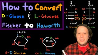 How to Draw Haworth Projections of L and D Glucose from Fischer Projections  Chemistry Tutorial [upl. by Ttelrahc]