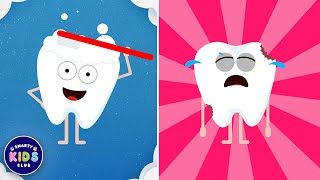 Brush Brush Brush Your Teeth  Educational Song for Toddlers [upl. by Apicella689]