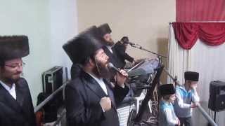 Meir Adler Yanki Daskal  Belz Machnovkeh Wedding part 1 [upl. by Llirrem700]