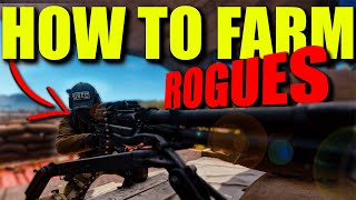 How To Easily Farm Lighthouse Rogues in Tarkov [upl. by Agnizn]