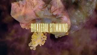 Bilateral Stimulation Sound for Stimming Autism Stress Relief and Sensory Fun [upl. by Nae]