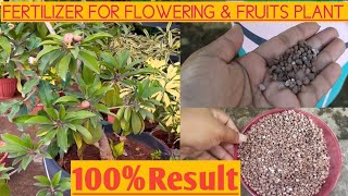 fertilizer for flowering amp fruits plant  DAP FERTILIZER  फूलो और फलों के पोधो के लिए खाद [upl. by Atazroglam]